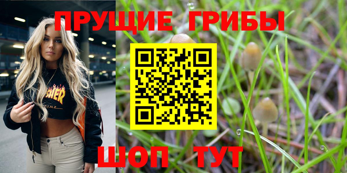Псилоцибиновые грибы прущие грибы Октябрьский