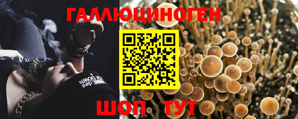Октябрьский  Галлюциногенные грибы Psilocybe  Галлюциногенные грибы мицелий  Вход с VPN 